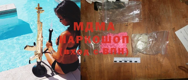 ПСИЛОЦИБИНОВЫЕ ГРИБЫ Кедровый