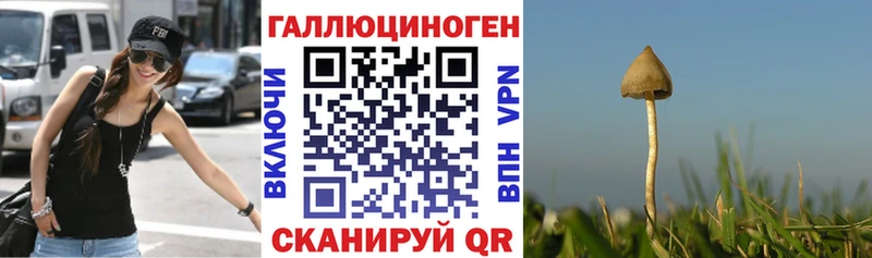 где купить   Малмыж  Псилоцибиновые грибы мухоморы 